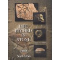 Life Etched in Stone-Fossils of South Africa