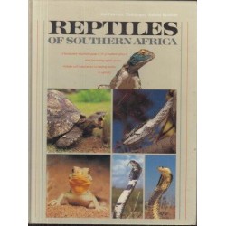 Reptiles Of Southern Africa