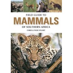 Field Guide To Mammals Of Southern Africa