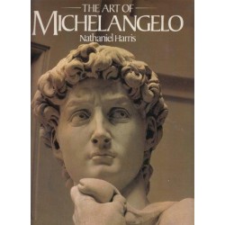 The Art Of Michelangelo