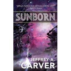 Sunborn (Chaos Chronicles)