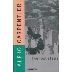 The Lost Steps