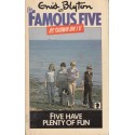 Five Have Plenty Of Fun (Famous Five 14)