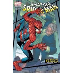 The Amazing Spider-Man Vol. 1 No. 506