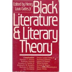 Black Literature And Literary Theory
