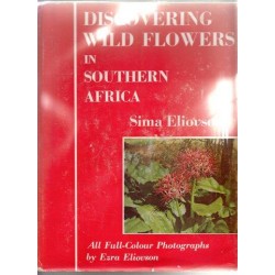 Discovering Wild Flowers in South Africa
