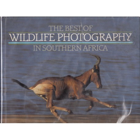 The Best of Wildlife Photography in Southern Africa