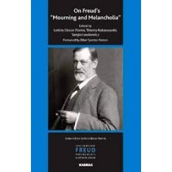 On Freud's Mourning And Melancholia