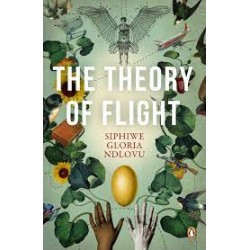 The Theory Of Flight