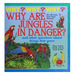 Why Are Jungles In Danger?
