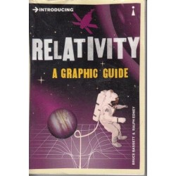 Introducing... Relativity: A Graphic Guide
