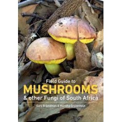 Field Guide To Mushrooms And Other Fungi of South Africa