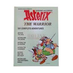 Asterix And The Warrior