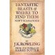 Fantastic Beasts And Where To Find Them - Newt Scamander