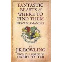 Fantastic Beasts And Where To Find Them - Newt Scamander