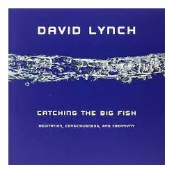 Catching The Big Fish (Hardcover)