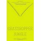 Grasshopper Jungle