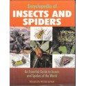 Encyclopedia Of Insects and & Spiders (Hardcover)