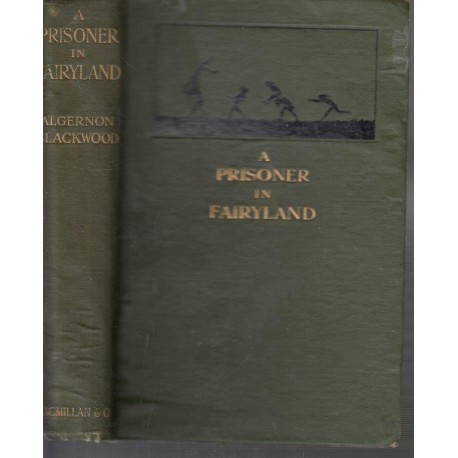 A Prisoner in Fairyland (Hardcover)