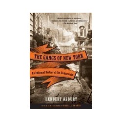 The Gangs Of New York: An Informal History Of The Underworld (Vintage)
