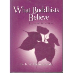 What Buddhists Believe (Expanded 4th Edition)