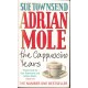 Adrian Mole - The Cappucino Years