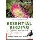 Essential Birding - Western South Africa