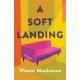 A Soft Landing