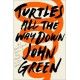 Turtles All the Way Down (Hardcover)