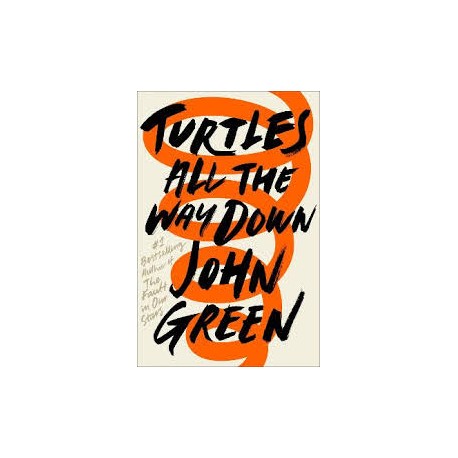 Turtles All the Way Down (Hardcover)