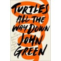 Turtles All the Way Down (Hardcover)