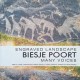 Engraved Landscape. Biesje Poort: Many Voices