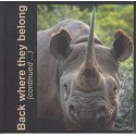 Back Where They Belong: The Story of the Black Rhino Range Expansion Project 2004-2023