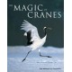 The Magic of Cranes (Hardcover)