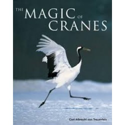 The Magic of Cranes (Hardcover)