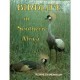 Birdlife In Southern Africa (Hardcover)