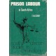 Prison Labour in South Africa: South African Studies in Criminology (Hardcover)