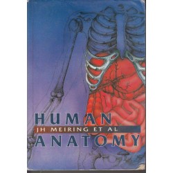 Human Anatomy