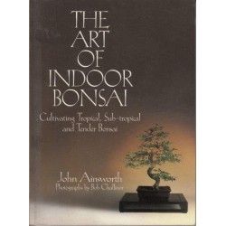 The Art of Indoor Bonsai