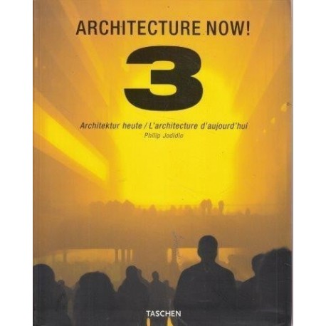 Architecture Now 3