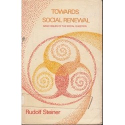 Towards Social Renewal