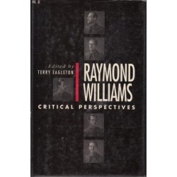 Raymond Williams: Critical Perspectives