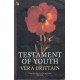 Testament Of Youth: An Autobiographical Study Of The Years 1900-1925 (Virago Classic Non-Fiction)