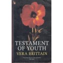 Testament Of Youth: An Autobiographical Study Of The Years 1900-1925 (Virago Classic Non-Fiction)