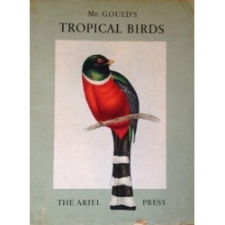 Mr. Gould's Tropical Birds