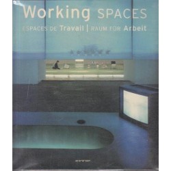 Working Spaces (Evergreen Series)