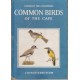 Common Birds of the Cape