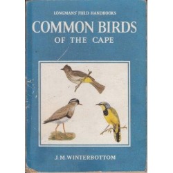 Common Birds of the Cape
