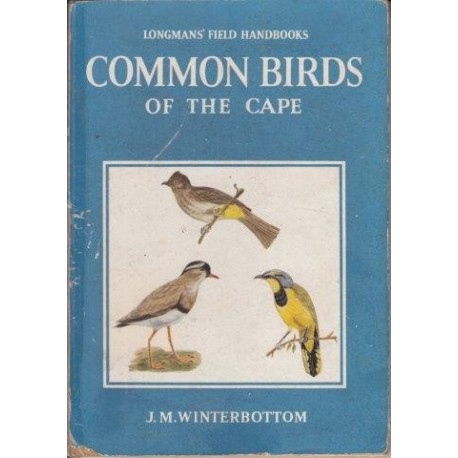 Common Birds of the Cape