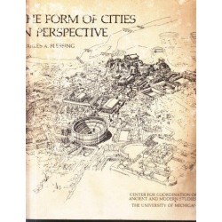 The Form of Cities in Perspective
